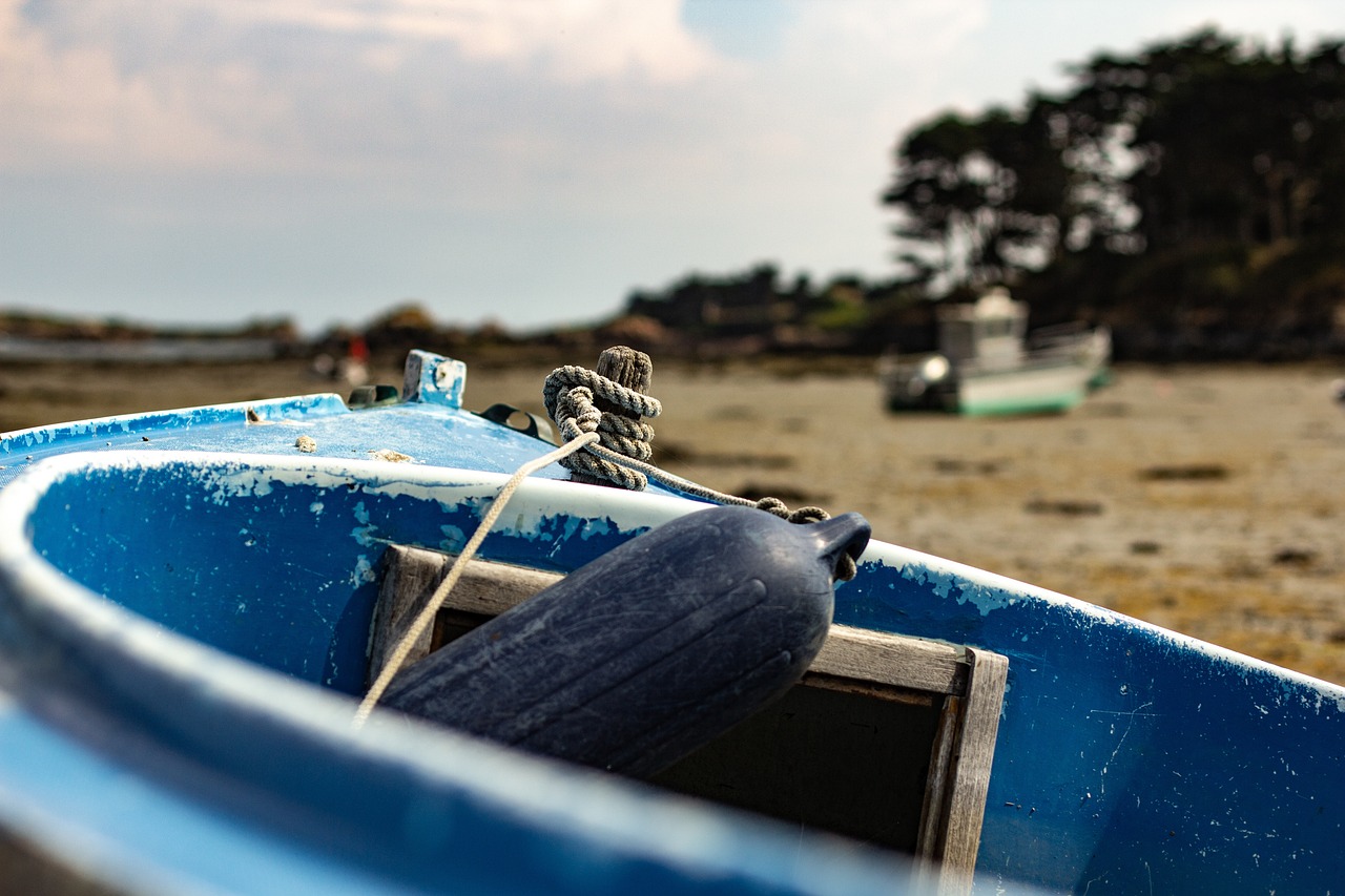 貴州疫情最新防控情況更新，防控進展與動態(tài)報告