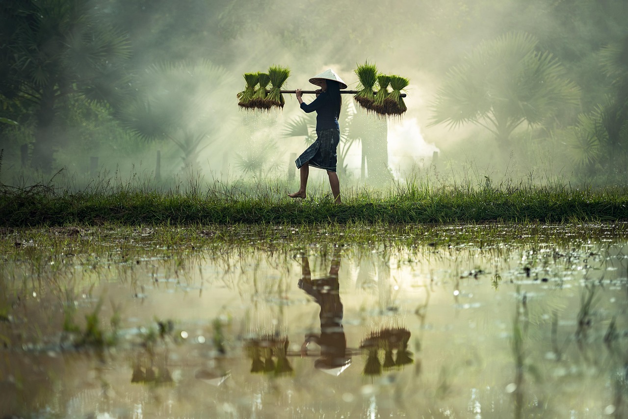 亞洲第一成人電影的探索與反思