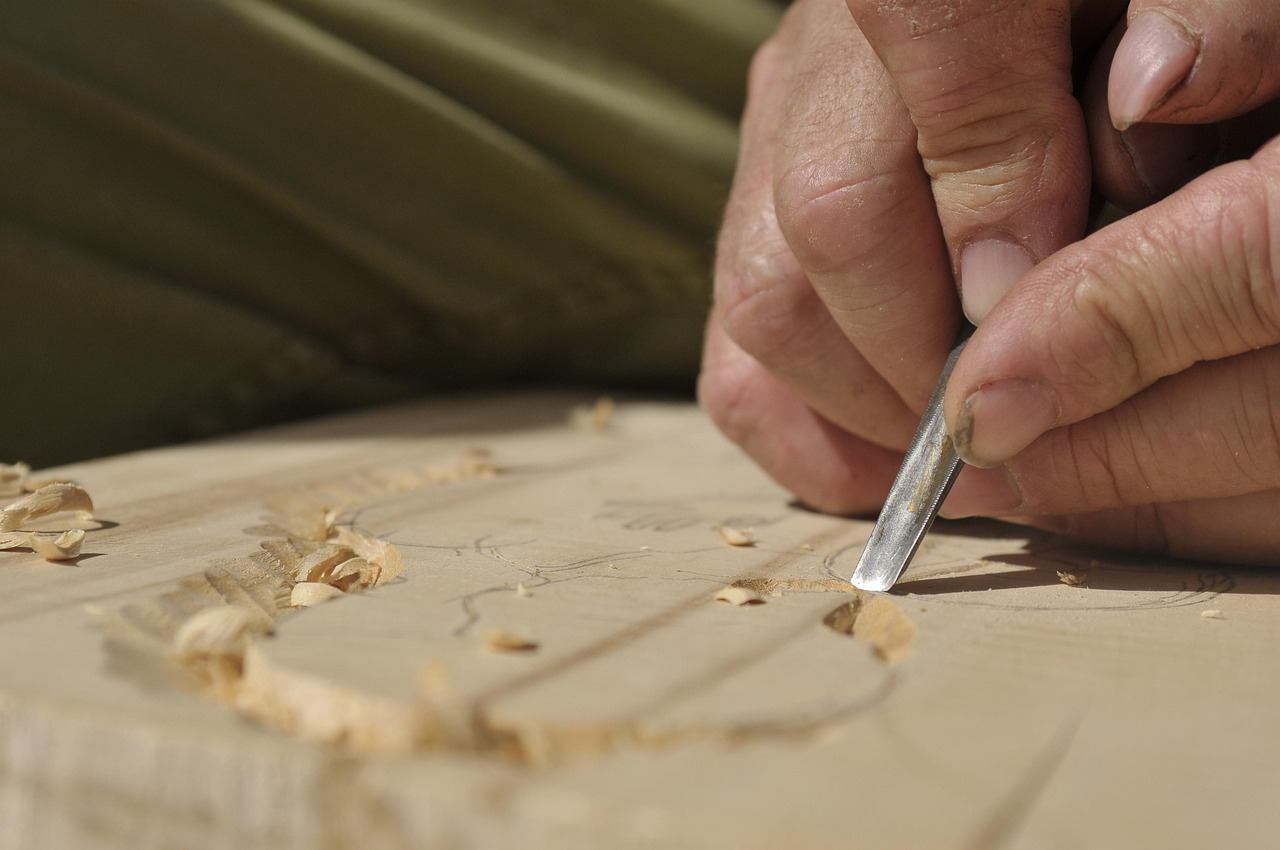 慶陽新動(dòng)態(tài)，城市煥發(fā)新活力