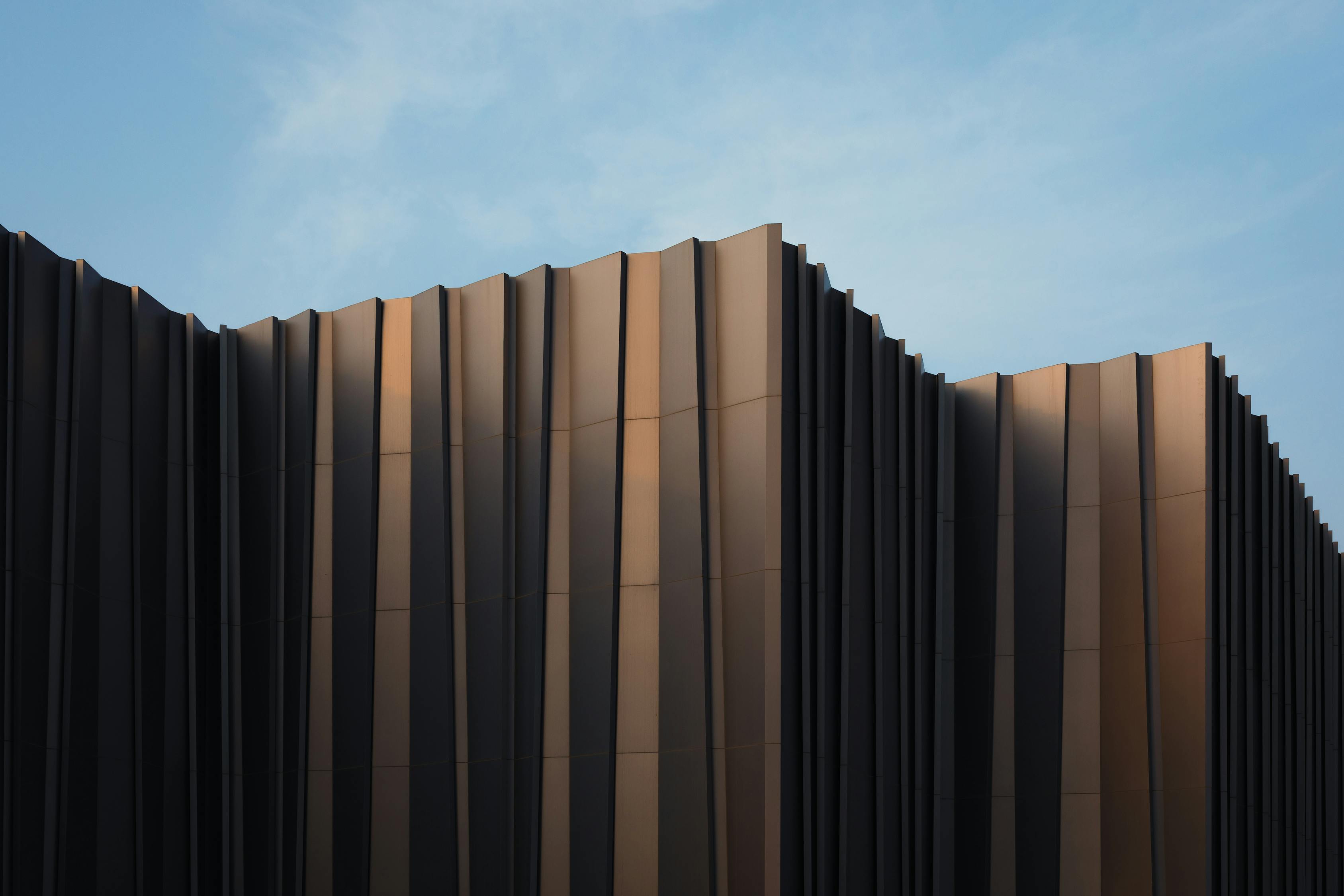 蘇鐵樹價(jià)格走勢(shì)分析，市場(chǎng)趨勢(shì)與價(jià)格揭秘