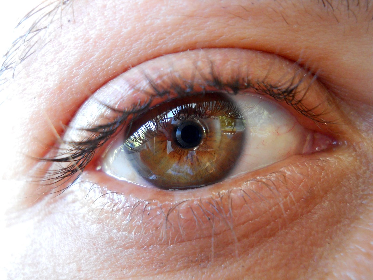 高冷動(dòng)漫女神頭像，獨(dú)特魅力的虛擬世界頭像女