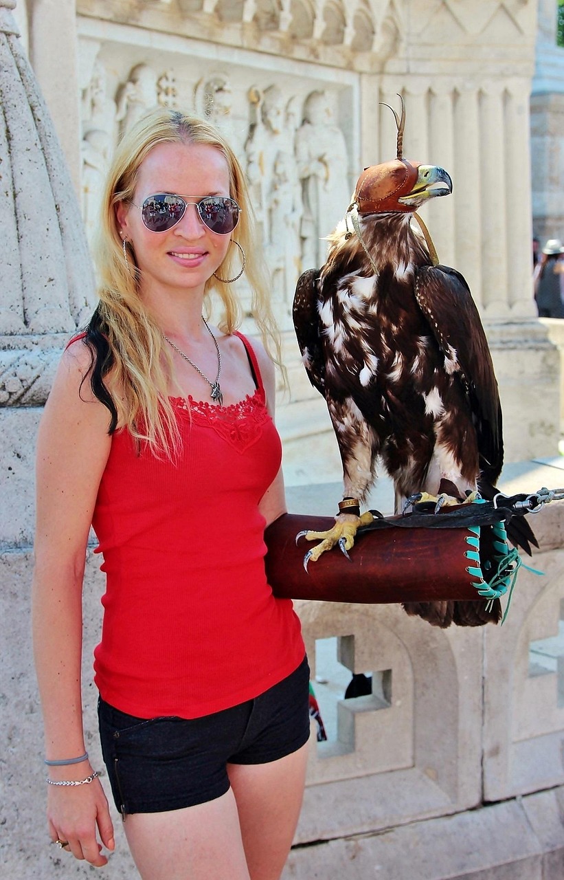 全球新型肺炎最新動態(tài)，疫情狀況解析與應對策略探討