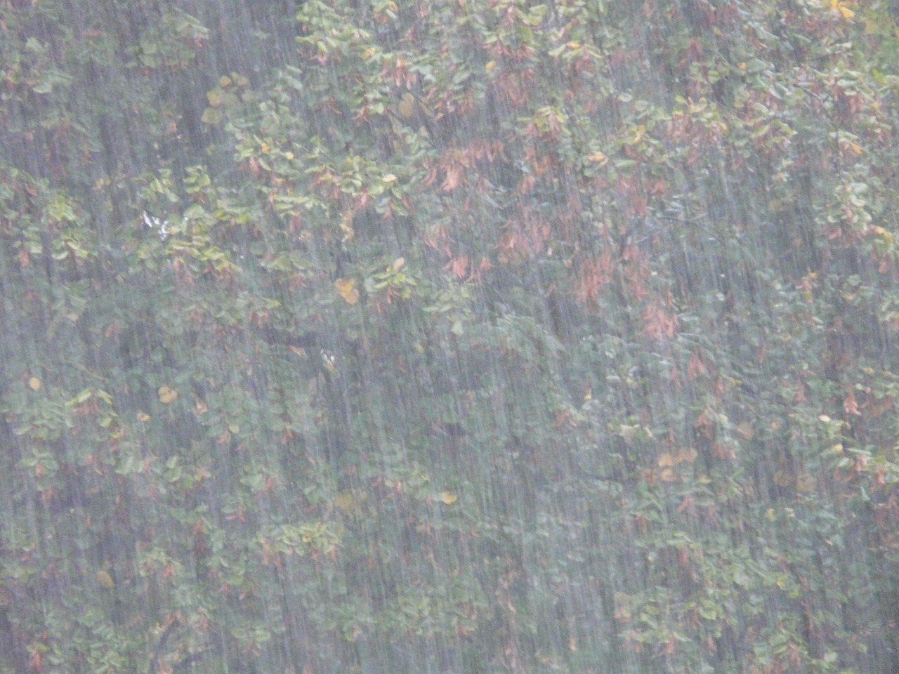 揭陽今日資訊，城市發(fā)展與民生新動態(tài)速遞