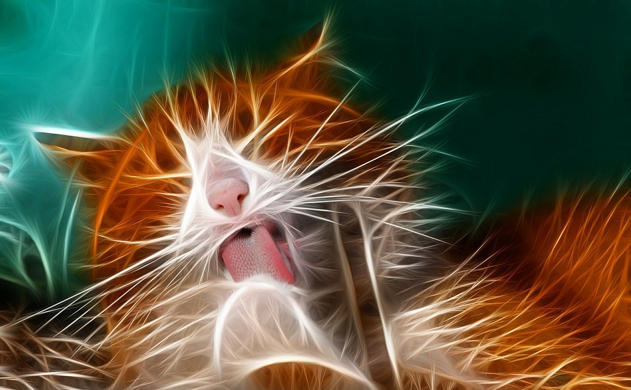 免費(fèi)港股實(shí)時(shí)行情軟件，掌握股市動(dòng)態(tài)的必備神器