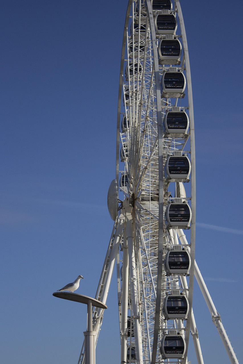 三角輪胎上市，開啟全新里程碑，駛向更廣闊未來