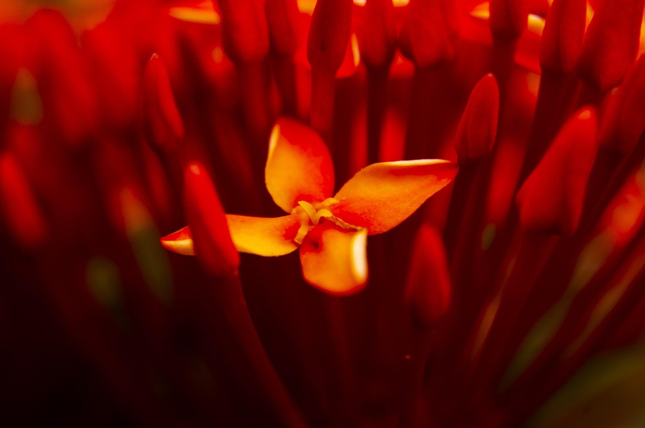 最新溫馨早晨祝福，開啟美好一天的序曲篇章