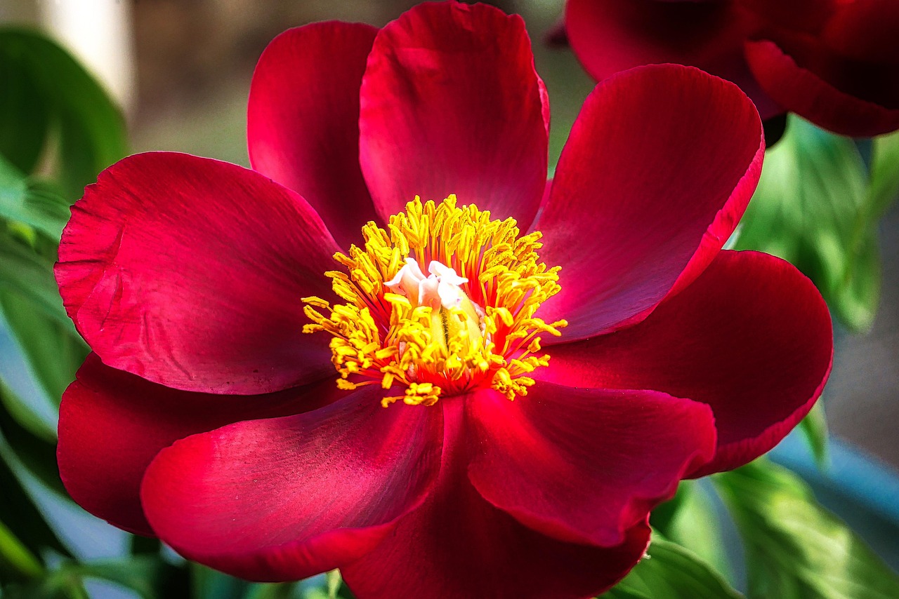 退休政策改革最新動(dòng)態(tài)，探索、前瞻與未來展望