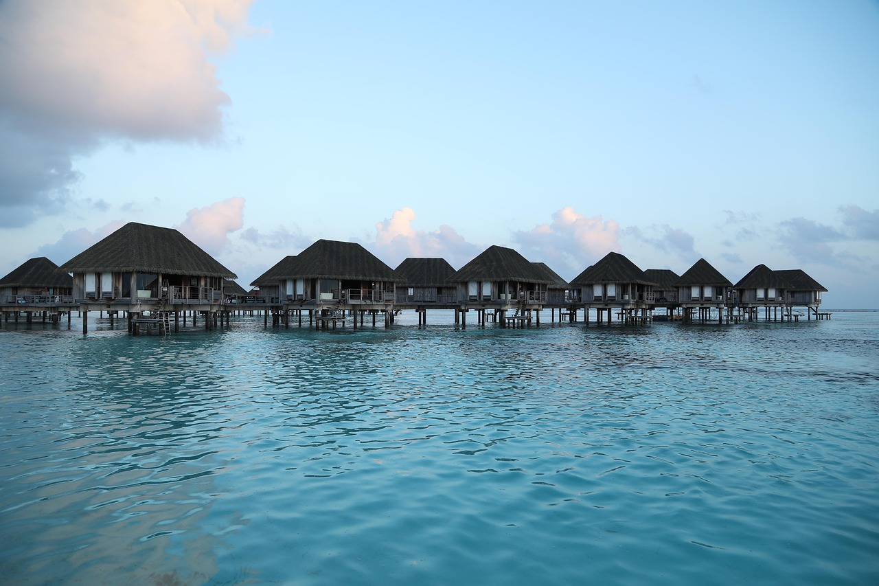 深圳帆船比賽，揚帆起航，海上風(fēng)采展現(xiàn)