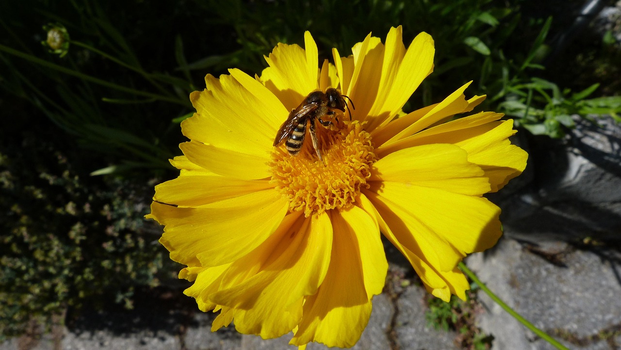 金?；み~向高質(zhì)量發(fā)展新階段，創(chuàng)新引領(lǐng)的最新動(dòng)態(tài)