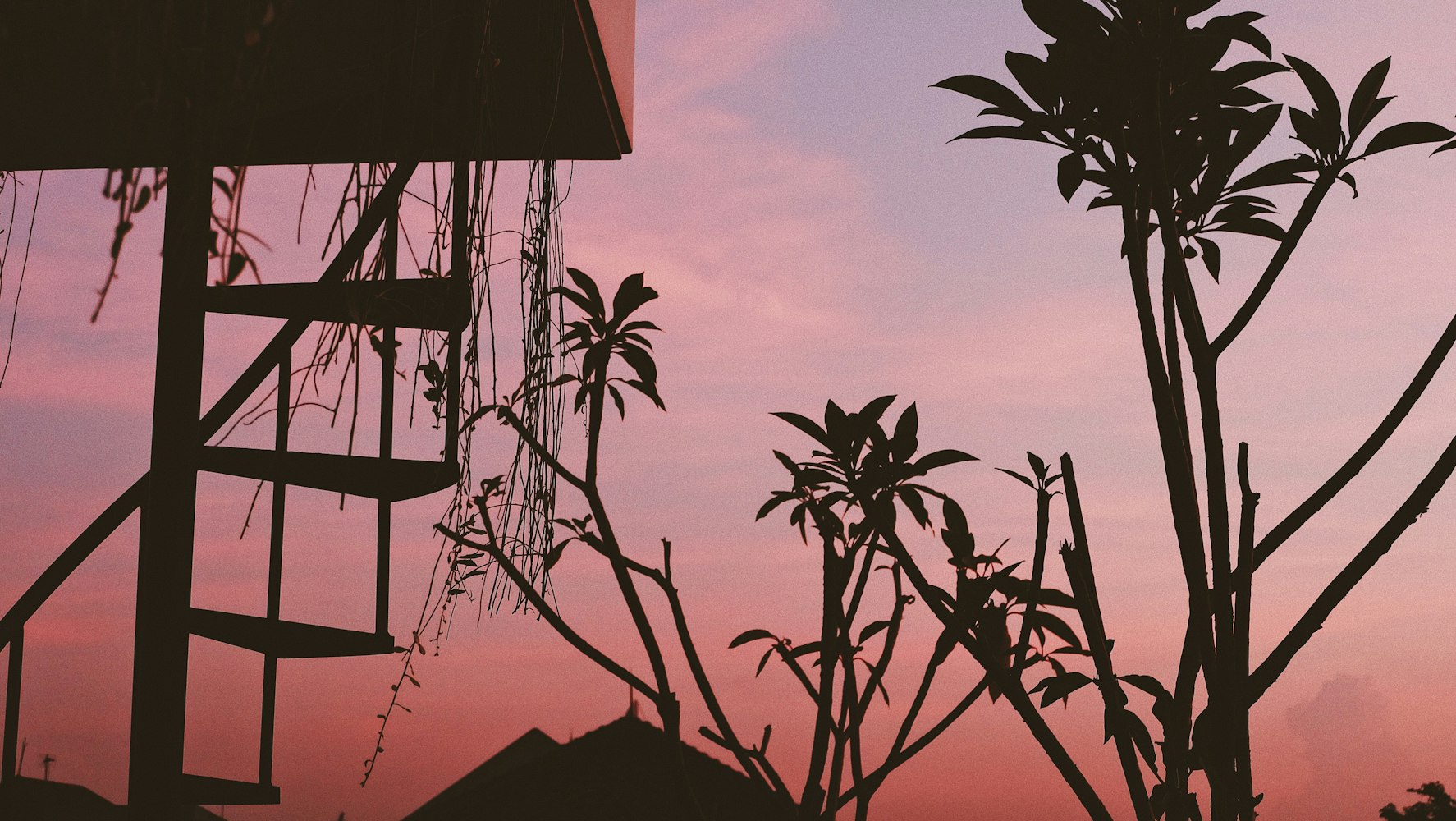 清新動漫壁紙?zhí)矫兀哌M夢幻的動畫世界