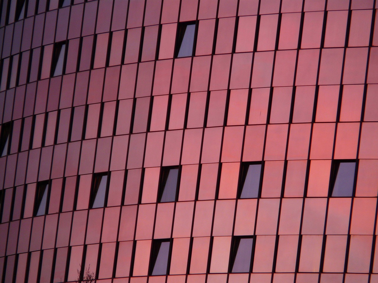 英國最新動態(tài)，引領(lǐng)全球變革的新趨勢