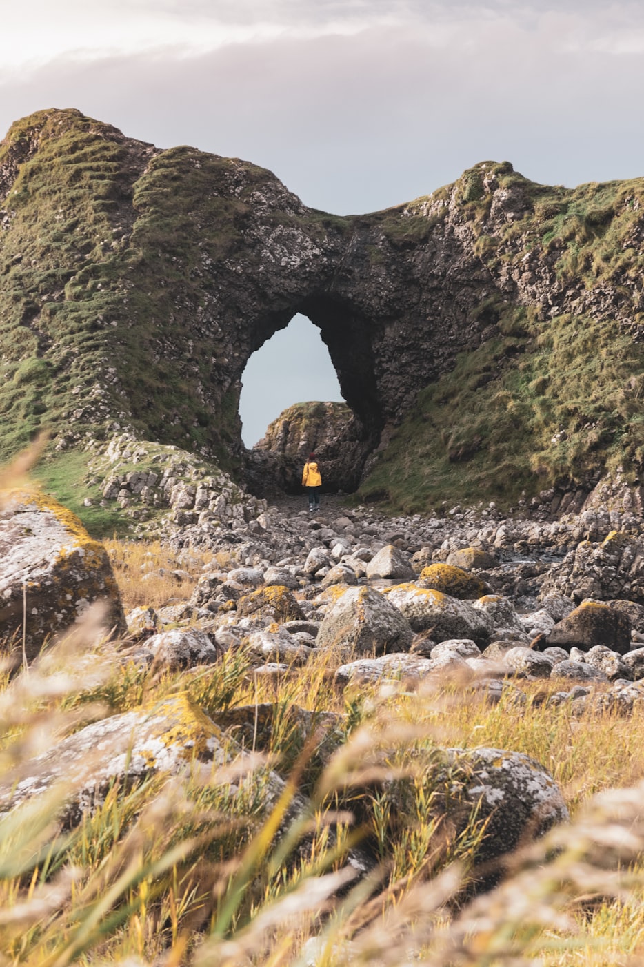 最新網(wǎng)址趨勢探索，前沿科技的引領(lǐng)者與網(wǎng)址發(fā)展動態(tài)