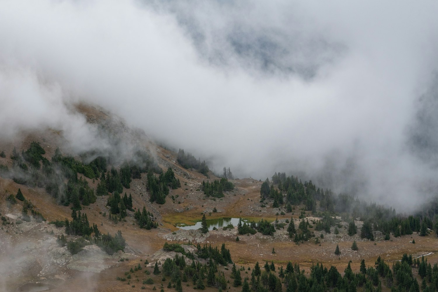 南昌縣雄溪河進(jìn)展更新，探索與實(shí)踐之路