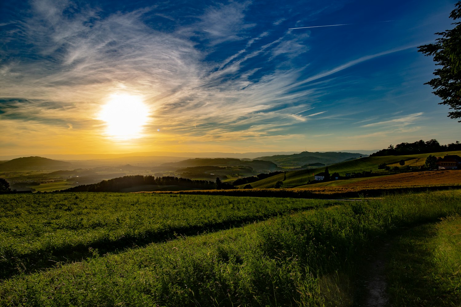 深圳協(xié)警改革最新動(dòng)態(tài)，探索創(chuàng)新，推動(dòng)警務(wù)現(xiàn)代化發(fā)展