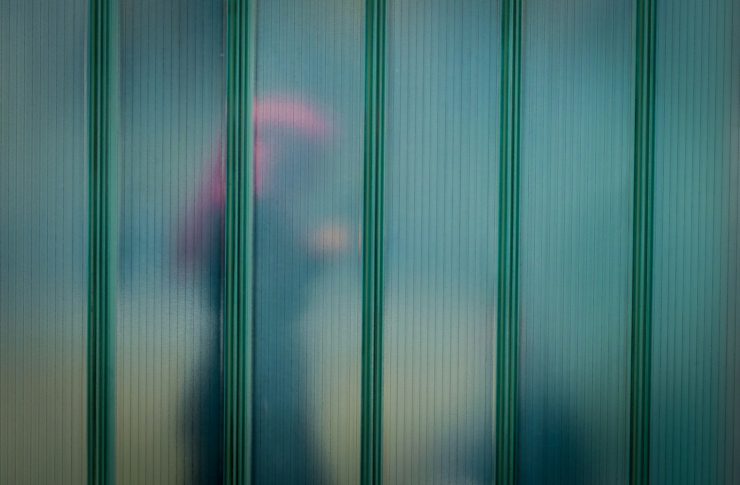 最新校園廁所攝影系列2，私密空間的藝術(shù)與真實(shí)探索