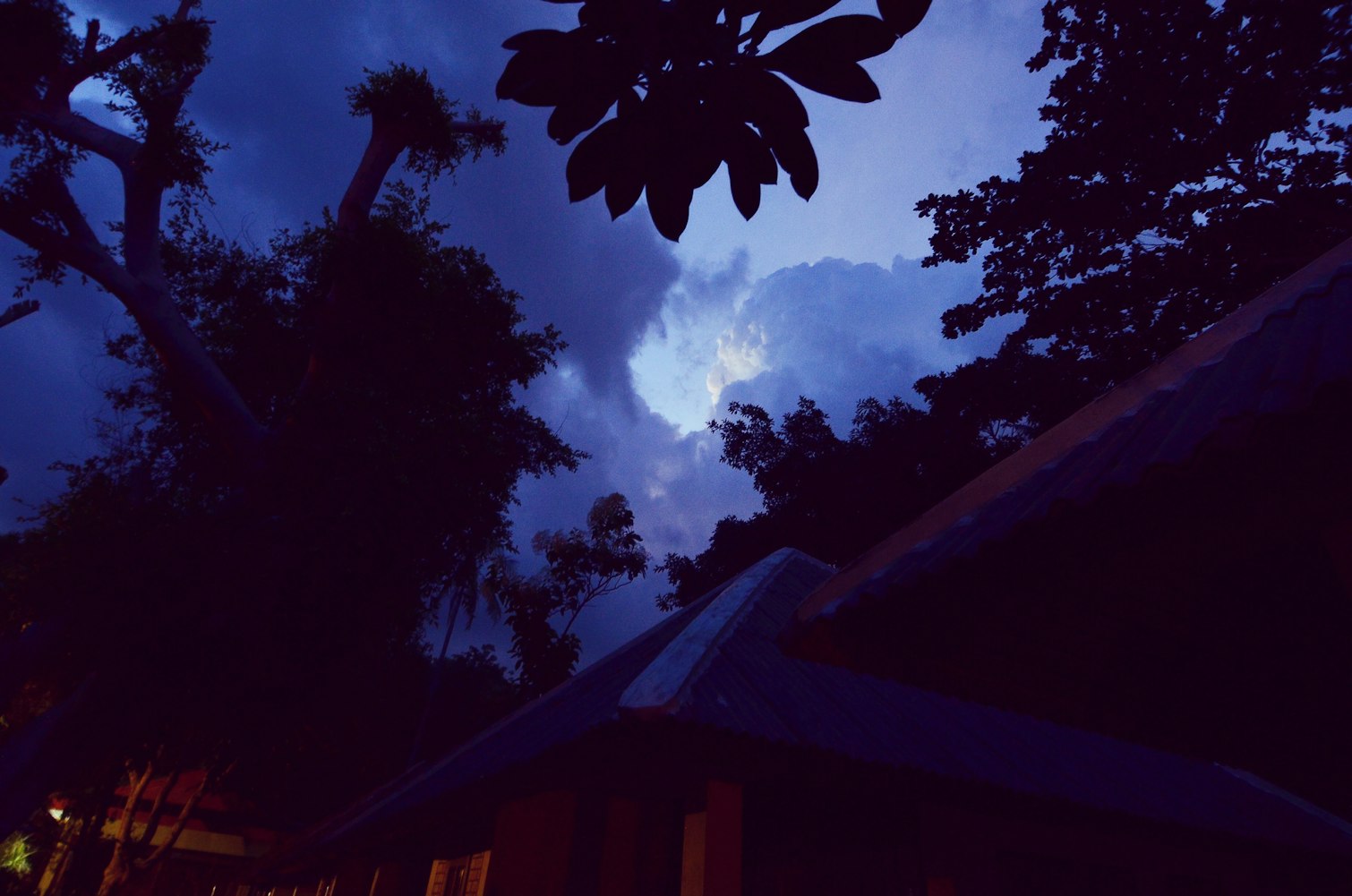 探索動(dòng)漫世界的視覺與情感盛宴——去看吧動(dòng)漫