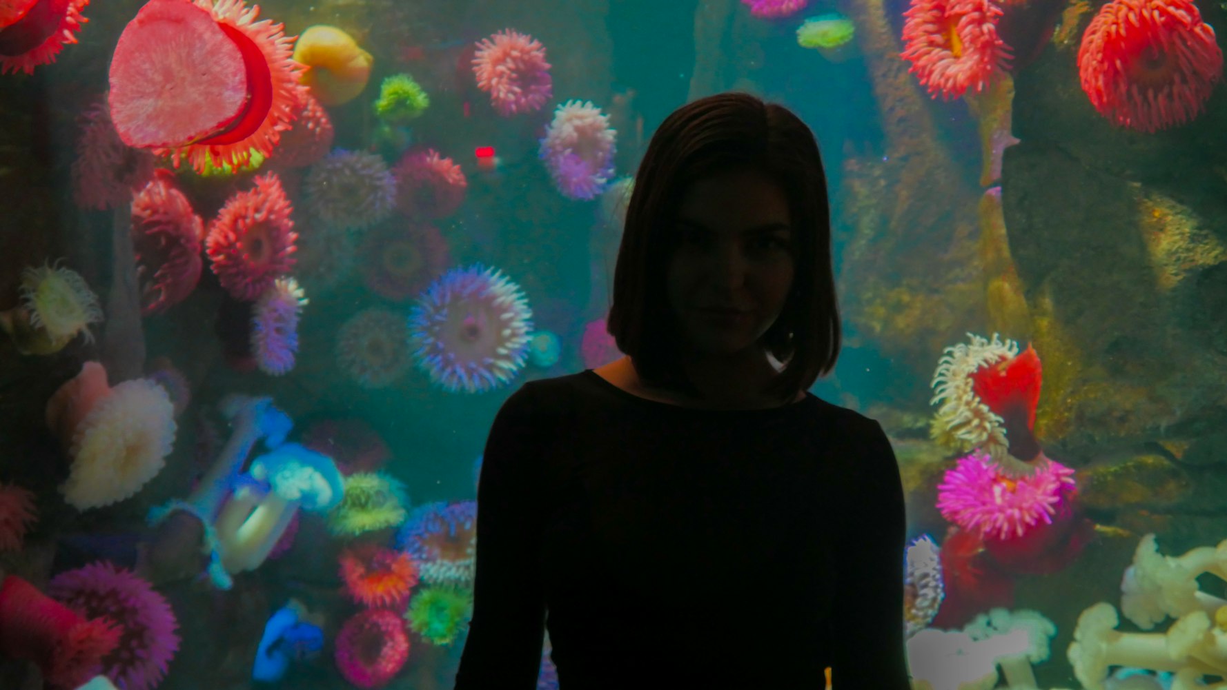 最新奇幻捕魚(yú)游戲,神秘海洋的冒險(xiǎn)之旅