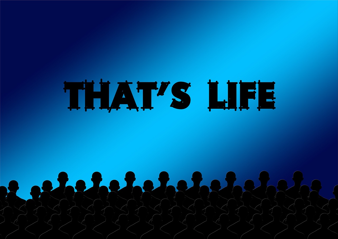 電影下載網(wǎng)址大揭秘,探索影視資源的無盡世界