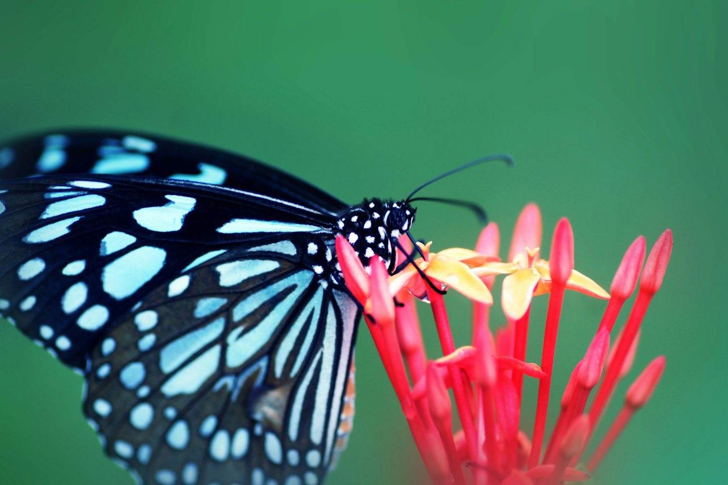 東海蔣培毅,最新動態揭示其在多個領域的卓越成就與發展軌跡